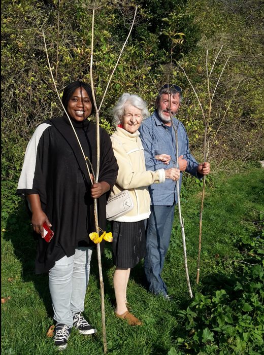 three people in a garden