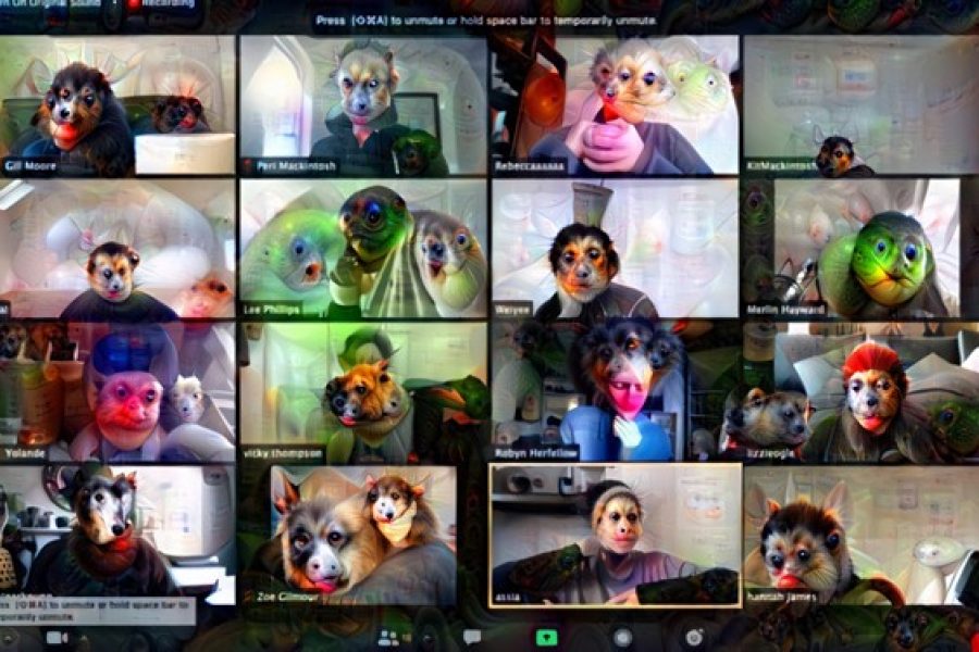 sixteen people on a zoom call. their faces have been changed by the computer to look like colourful animal or alien faces.
